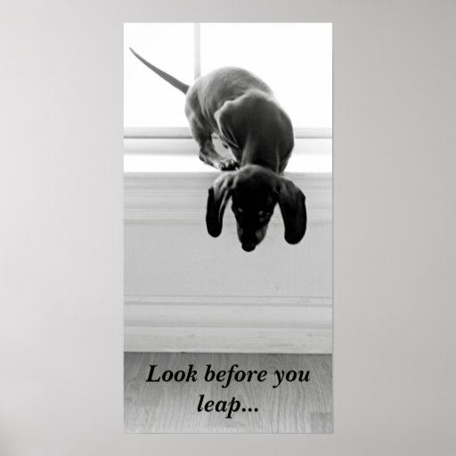 Look before you leap... posters