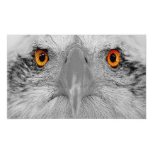 Look into  my eyes art photo