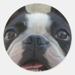 Look into my eyes round sticker