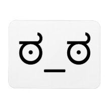 Look of Disapproval Meme Vinyl Magnets