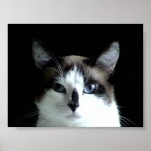 Looking At You Print