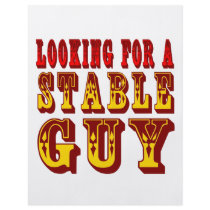 Looking For A Stable Guy