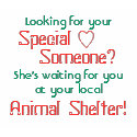 Looking for your, Someone?, Special, She's wait... t-shirts