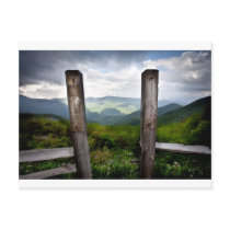 Looking Forward Post Cards