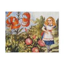Looking Glass Alice Full Colour