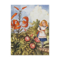 Looking Glass Alice Full Colour