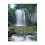 Looking Glass Falls postcards