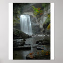 Looking Glass Falls posters