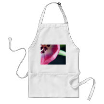 Looking IntoThe Centre of a Pink and White Tulip Aprons