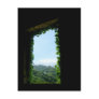 Looking Out Postcards
