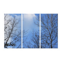 Looking Up Canvas Prints