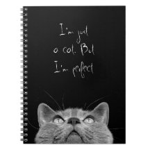 Looking up - Notebook