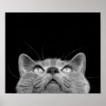 Looking up posters