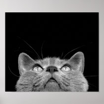 Looking up posters