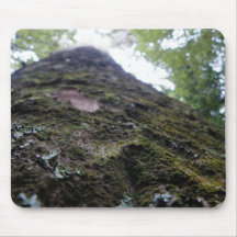 Looking Up the Kauri Mousepad