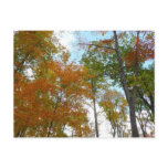 Looking Up to Fall Leaves Postcard