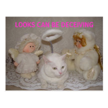 LOOKS CAN BE DECEIVING POST CARDS
