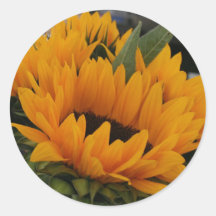Looks Like a Sunflower Sticker