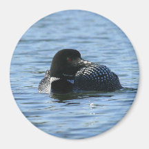 Loon magnet