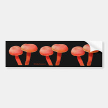 L'orange répand adhésif pour pare-chocs de photo d autocollants pour voiture