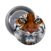 Lord of the Indian Jungles, The Royal Bengal Tiger Buttons