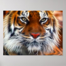 Lord of the Indian Jungles, The Royal Bengal Tiger Poster