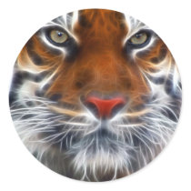 Lord of the Indian Jungles, The Royal Bengal Tiger Sticker