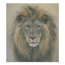 Lord of the Jungle Lion Poster Photo Print