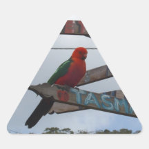 Lorikeet Sticker