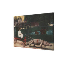 Los Angeles, CAAlligator FarmPulling Girl Gallery Wrapped Canvas