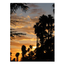 Los Angeles Palm Tree Sunset Postcard postcards