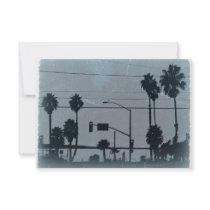 Los Angeles Palm Trees