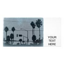 Los Angeles Palm Trees