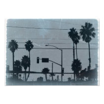 Los Angeles Palm Trees