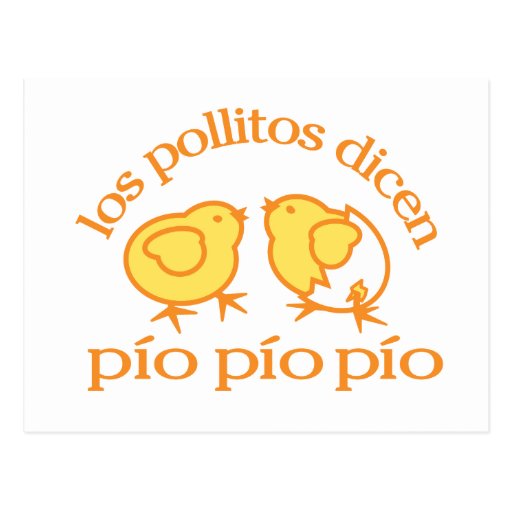 los pollitos dicen... post card