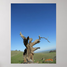 Los Vaqueros Watershed Print