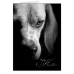 Loss of a Dog Beagle Pet Sympathy Card