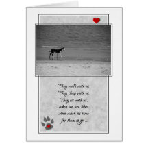 Loss of a Dog Pet Sympathy Card