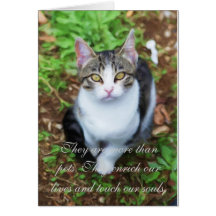 Loss of Cat Greeting Cards