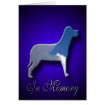 Loss Of Dog Sympathy Card