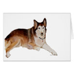 Loss of Pet Dog Sympathy Card
