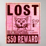 Lost Cat Poster