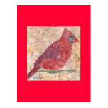 Lost Cave Red Cardinal Postcard