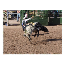 "Lost Dutchman Days Rodeo" Postcards
