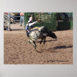 "Lost Dutchman Days Rodeo" Posters