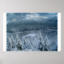 Lost in a winter wonderland posters