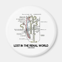 Lost In The Renal World (Kidney Nephron) Magnet