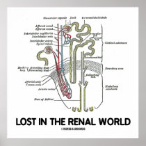 Lost In The Renal World (Kidney Nephron) posters