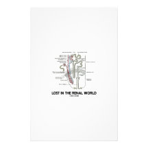 Lost In The Renal World (Kidney Nephron) Custom Stationery