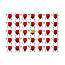 lost ladybug post card